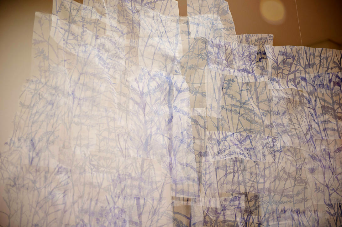 blaue Wind