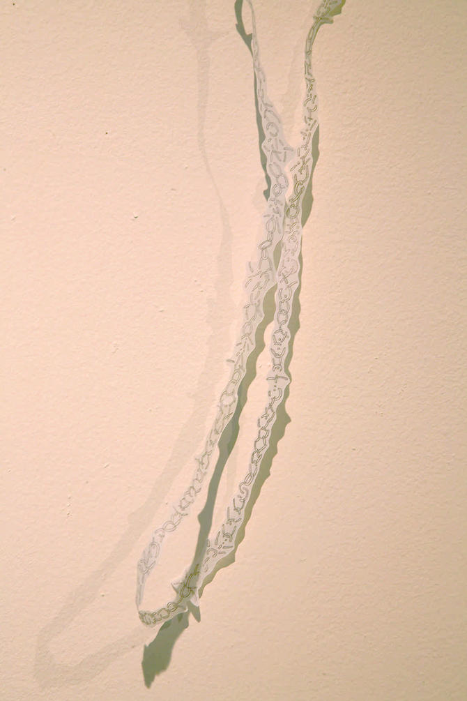 Knochenring