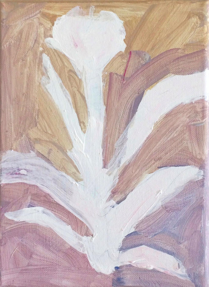 Illusion