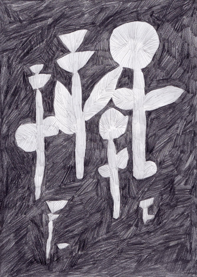 Nachtsblumen