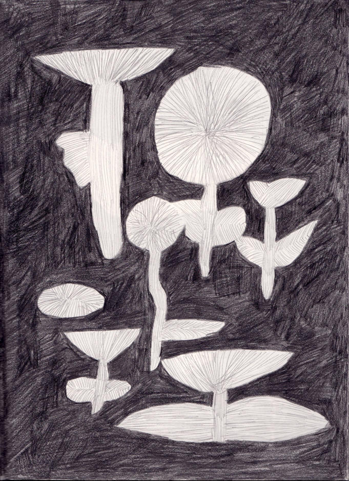 Nachtsblumen