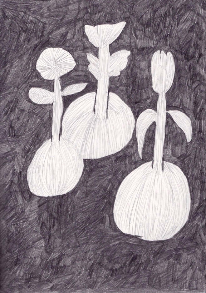Nachtsblumen